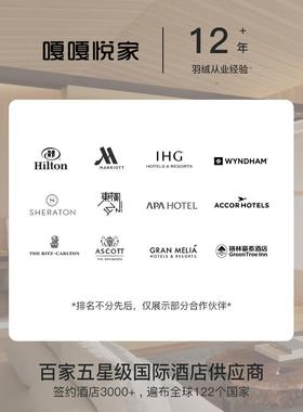 I9S鹅店绒枕KAXD羽绒枕枕头枕芯鹅绒酒枕头软护颈慢回弹家用