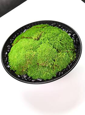 酒店大桌转中盘间景新中式装饰品圆微景盆观圆形包厢餐桌摆饰240