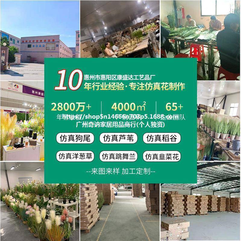 仿真芦苇狗尾巴草洋葱草室家居送礼盆绿植摆件店婚庆酒RIG内多规