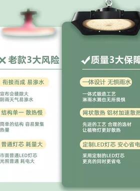 阳台太阳光模拟灯仿太阳全光灯生蔬室内谱ZFO养兰花卉菜植物长补