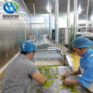 恒品桑叶油炸线 全自动预制菜桑树叶上浆机油炸机整套加工设备