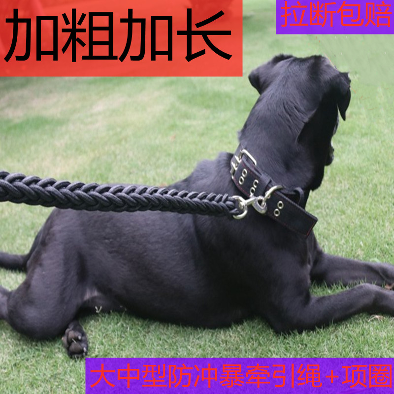 罗威纳专用项圈大型犬狗狗牵引绳猛犬巨贵狗链子比特马犬防咬遛狗