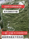 包邮 25年烘干有穗提摩西草段兔兔龙猫豚鼠荷兰猪一袋一斤装 满5斤