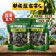 正宗福建霞浦海带头干货特级厚正品 官方旗舰店一级500g新货盐渍