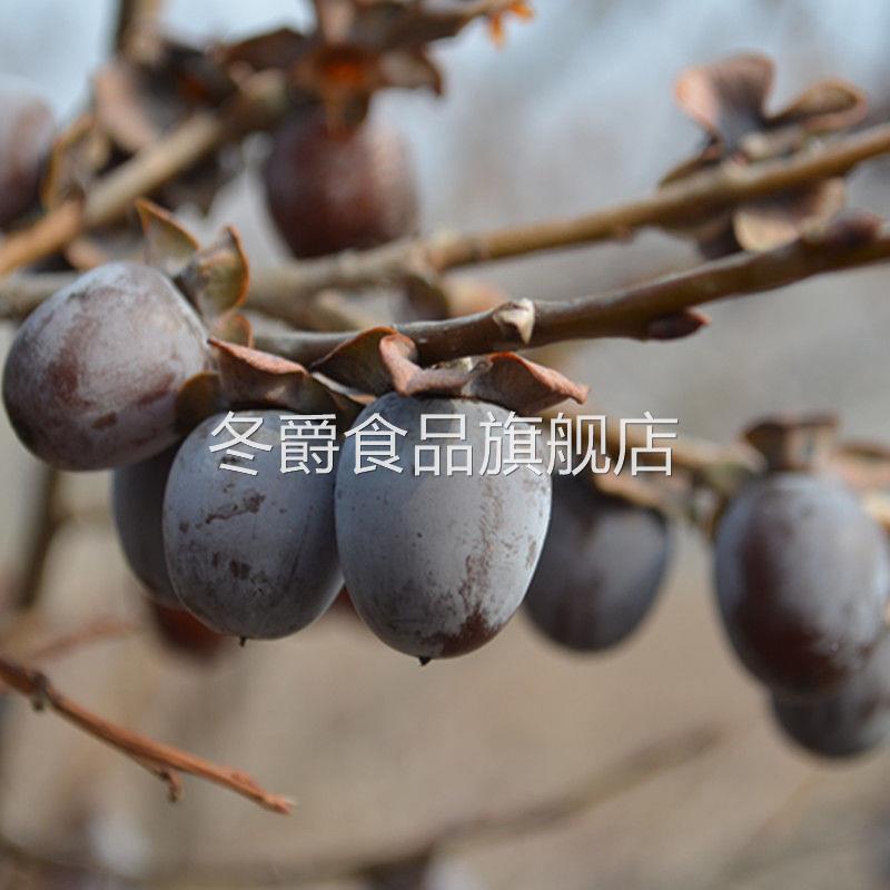 无核黑枣5斤整箱串糖葫芦专用天然大黑枣软枣野生柿子官方旗舰店