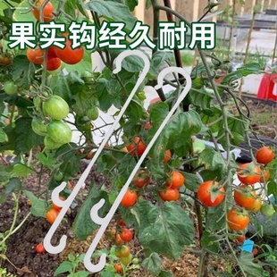 大棚蔬菜西红柿挂钩番茄吊钩果穗钩塑料吊穗钩挂果钩吊蔓托穗钩子