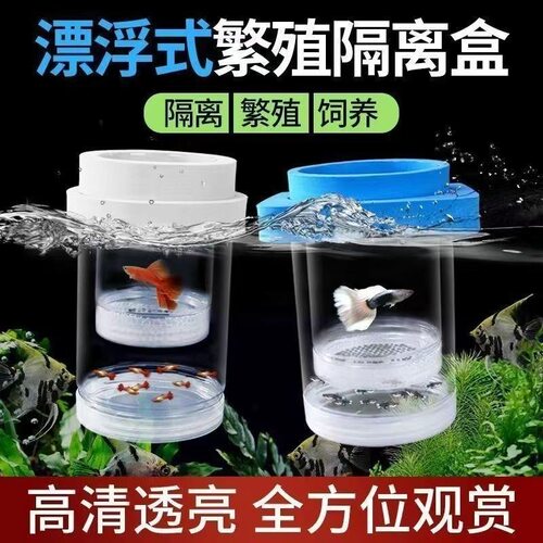 鱼缸孵化盒孔雀鱼繁殖隔离盒小型