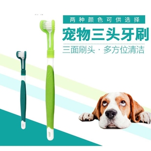 三头牙刷宠物牙刷狗狗猫咪牙刷猫狗口腔清洁用品中小型犬软毛牙刷