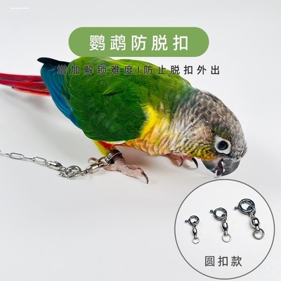 不锈钢鹦鹉放飞绳脚链不伤脚脚环活扣超轻虎皮牡丹玄凤专用防脱扣