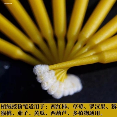 蓝莓草莓多肉大棚专用人工授粉笔专业授粉神器无毒环保多功能通用