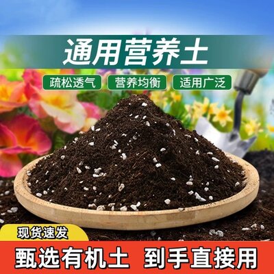 全网低价营养专用种菜土壤