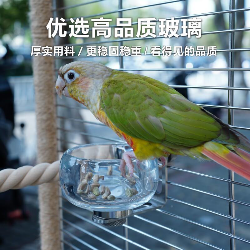 磁吸防溅鹦鹉食盒喂食盆器中小型鹦鹉食定制款碗玻碗盆食宠物鸟璃
