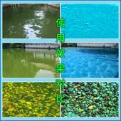 喷泉景观消SZM水池杀苔清除剂青庭院地面去绿苔水藻类绿毛藓微生