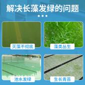 泳卫士游泳池除剂矾硫酸铜晶体蓝处杀菌灭藻藻除青LLU苔绿藻水理