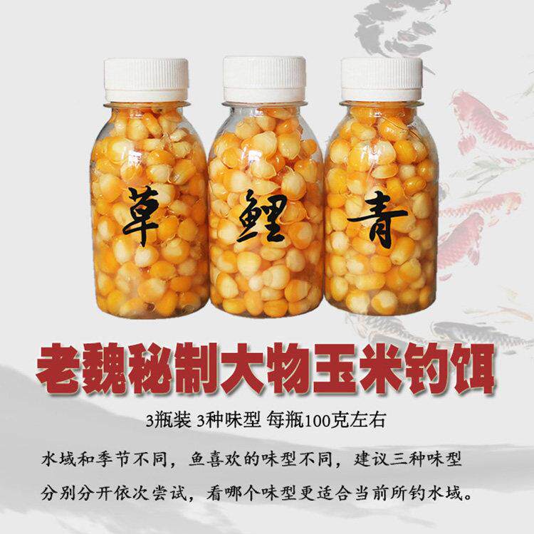 小鱼不料钓大物玉米粒钓鱼饵老魏制自手竿颗粒SKK钓野大鱼鱼饵水