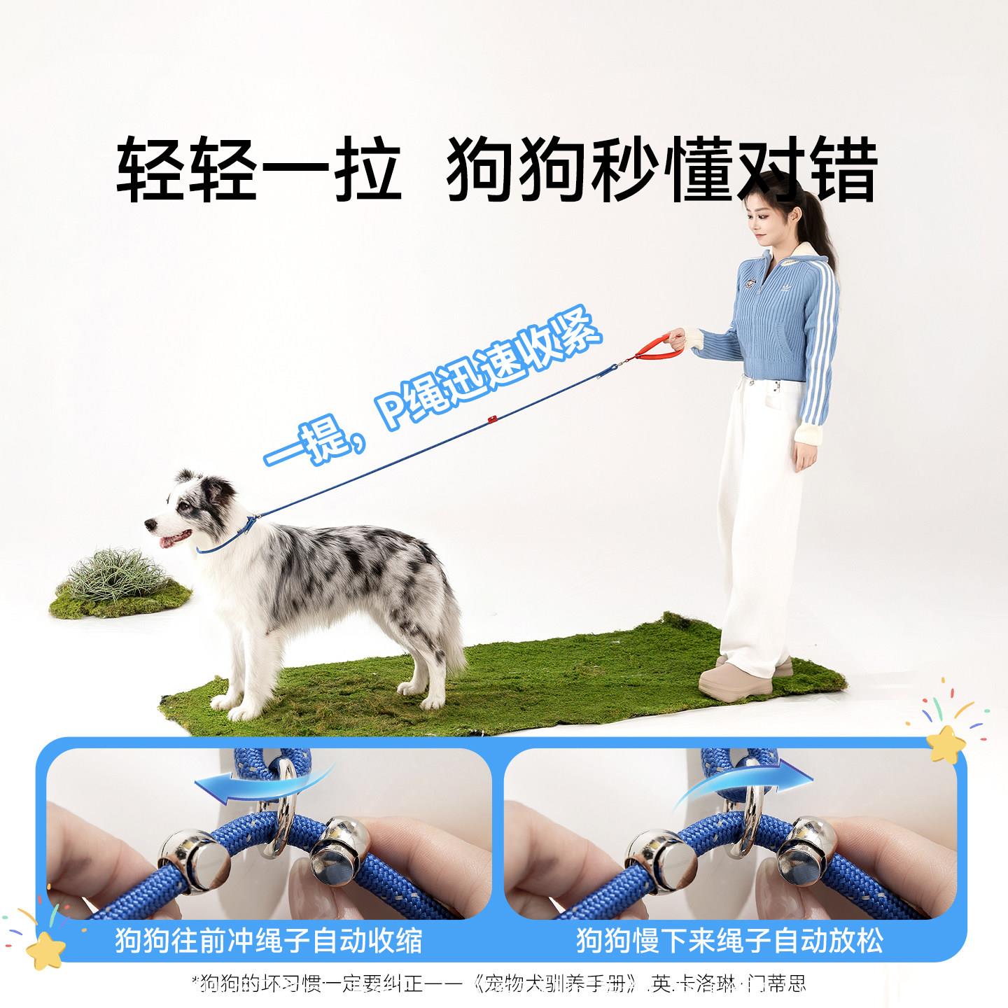 p链p绳狗狗引绳遛狗链牵子小中大型犬训犬爆用冲打结2510SXQM金防