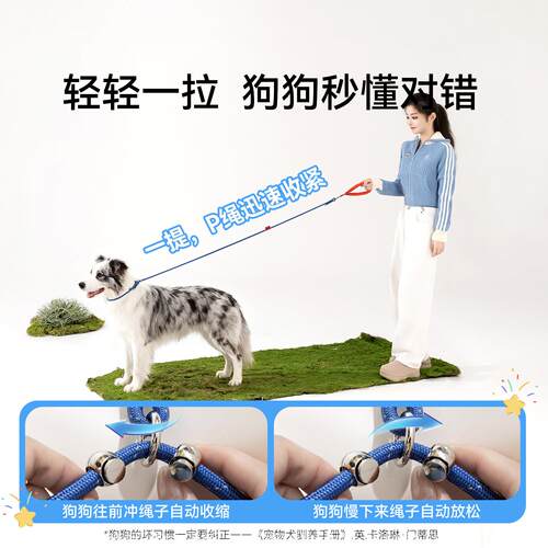 p链p绳狗狗引绳遛狗链牵子小中大型犬训犬爆用冲打结2510SXQM金防