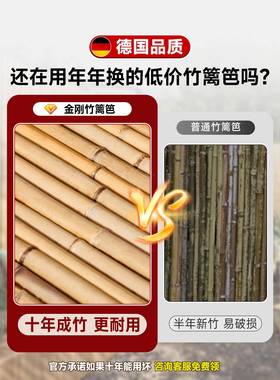 【金刚竹】竹篱栅栏围栏碳化腐造景户外隔花园防装饰竹子庭j-zlb