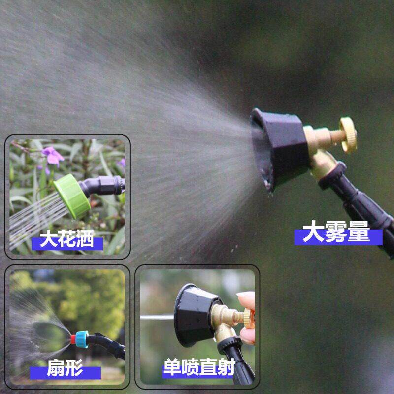 电动喷雾器用小型浇家花消器毒打药高压喷壶LH5L喷洒小型机农药施