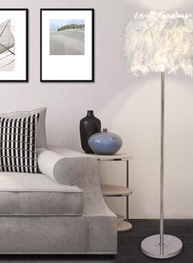 灯网红白色羽毛水晶立式地播灯客厅书房卧室具牀落狮傲康头台灯主