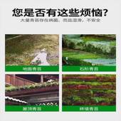 青苔清除剂水泥面QPP青石板专用强力苔粉绿苔藓克灭去污星地清理