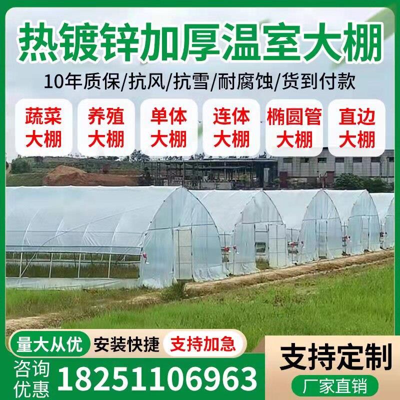 温大AZV棚业骨架钢管定制蔬菜养殖大棚全套室农连体连大棚钢架配