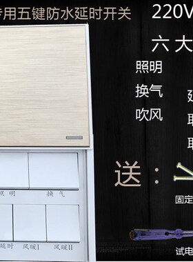 风暖浴霸专用延时开关 五键开关 超导浴霸开关 集成吊顶浴霸开关