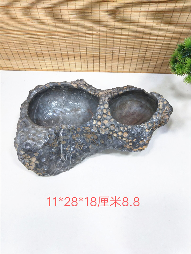 包邮天然珊瑚虫化石烟灰缸小花盆鱼缸奇石观赏石摆件风水纳财