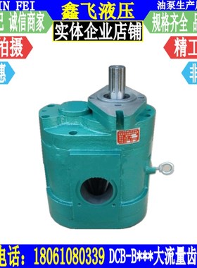 大流量齿轮油泵CB DCB-B600 XCB TXLB XTCB BM600菱形法兰安装