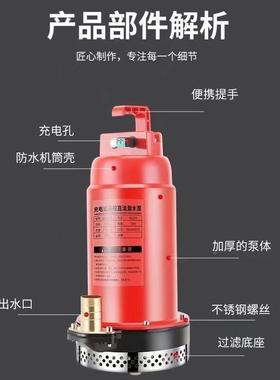 遥线潜水泵充电式无抽水机农GYY用水泵家控用新款灌溉泵12v直流抽