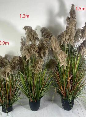 商场酒店橱窗搭美陈摆件真DVY芦苇草芦假花网红露营风场仿景配布