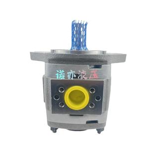 德国VOITH福DIP伊特拆 40101IPV532101增轮压泵 弯机齿油V泵IP5