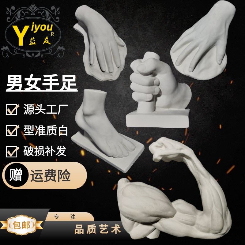 男女手模型男女足模型石膏曲臂模型直臂男女四肢素描教学绘画石膏