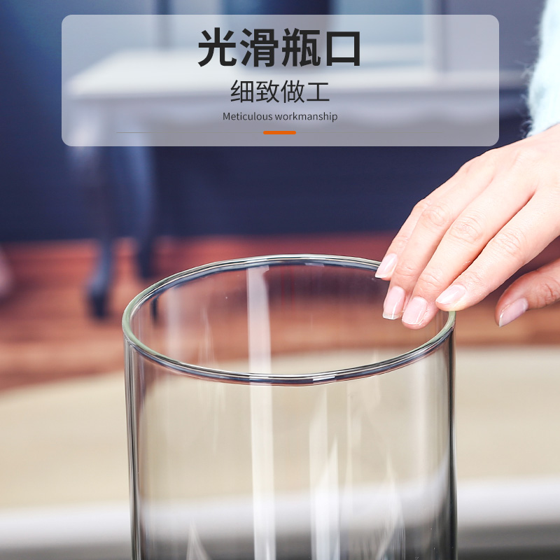 桌面盆栽玻璃小花瓶摆件客厅插花水养直筒高级感迷你花器摆件