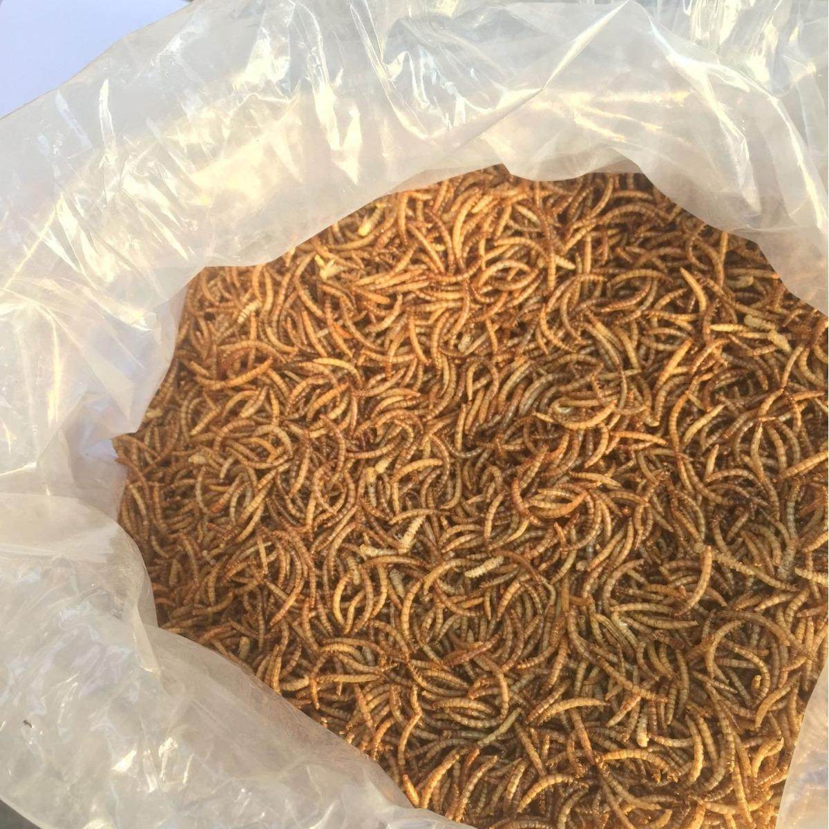 黄粉虫干面包虫干宠物饲料仓鼠零食观赏鱼龟粮饲料鸟粮微波烘干虫,宠物/宠物食品及用品,观赏鱼饲料,淘宝优惠券,粉丝福利购,淘宝优惠卷