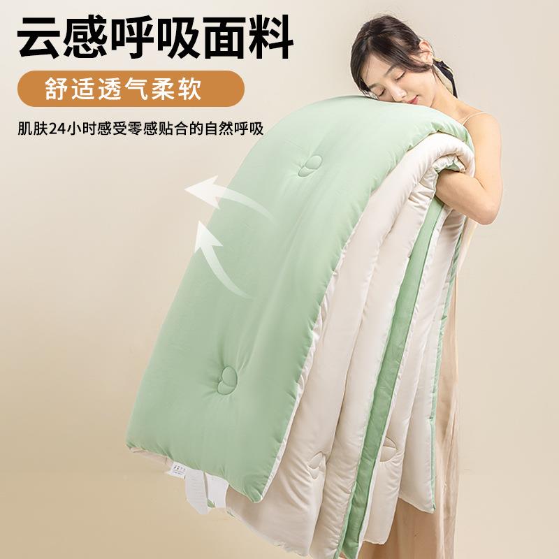 冬季升级A秋类双拼无品牌/原棉大豆纤维学被生舍被子被芯春被直播