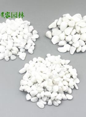 机石制石盆栽铺公路用广州水磨白石子2-碎3分白色DJP鹅卵石