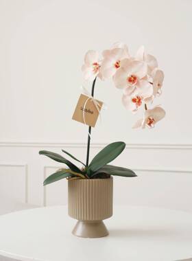 手感蝴蝶兰花件客厅餐摆F78JJ68J桌玄假饰花盆栽装花艺摆关设