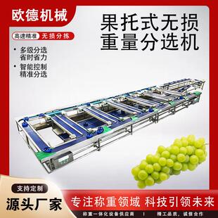 水果青提水蜜桃无损果托分选机 自由果托式皮带分拣机 榴莲分选机