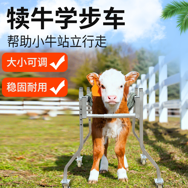 现货速发牛用新品兽用牛犊学步车起立架康复车犊牛学步车养殖加厚