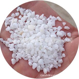 供应白石子鹅卵石彩石园艺盆栽石头多肉铺面庭院造景白石子