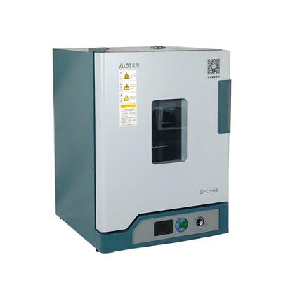 电热恒温鼓风干燥箱高温工业烘箱烤箱热风烘干机实验室老化试验箱