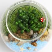 苔藓微景观套装 创意礼品摆件苔藓瓶生态瓶13.5木塞带灯瓶