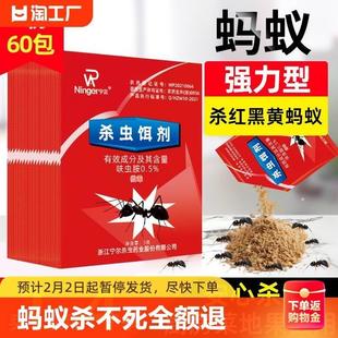 蚂蚁药家用非无毒一窝端室内厨房外大小红黑黄蚂蚁剂强力灭蚁药
