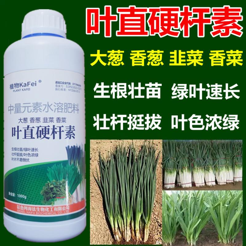 蔬菜叶直硬杆素大葱香葱韭菜香菜绿叶速长壮杆挺拔抗倒伏水溶肥料