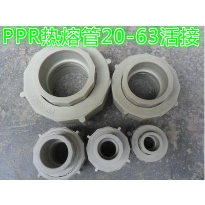 PPR管全塑活接 ppr接头 PPR管件 PPR冷热水管接 PPR管活接20 25