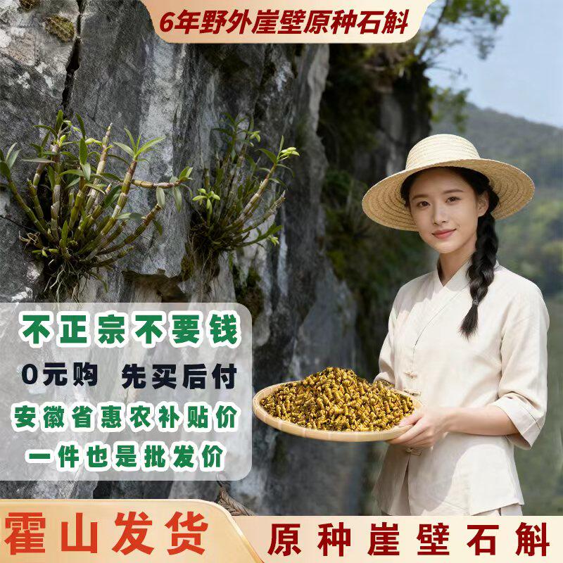 正宗霍山崖壁龙头凤尾铁皮石斛中药材正品石斛石斛粉纯粉正品特级