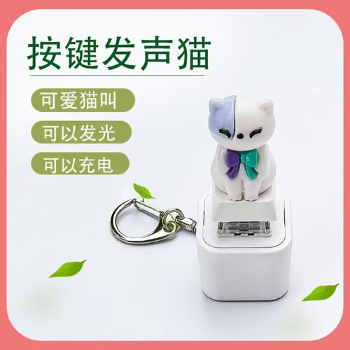 跨境发声发光猫咪按键捏捏乐可充