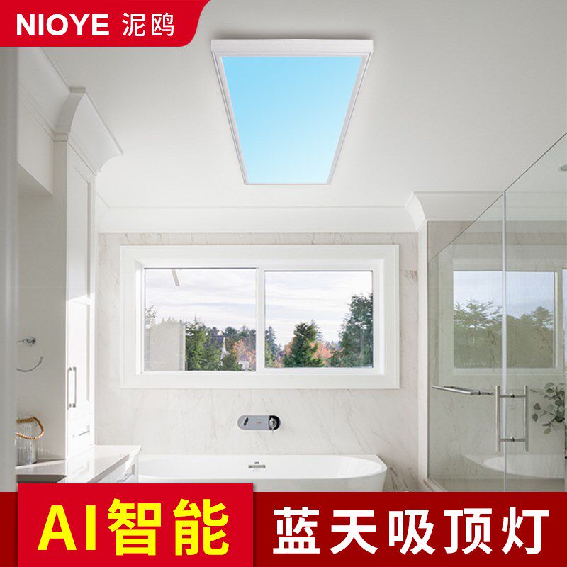 青晴天空灯明装长方形阳台走廊y灯过道洗手间化妆室厕所专用吸顶