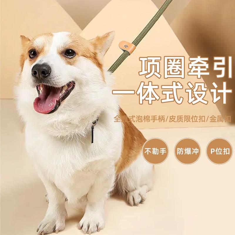 狗子牵引绳P绳加长2.5米，加粗P炼可伸缩一体式得宠物牵引绳